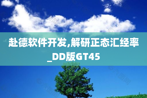 赴德软件开发,解研正态汇经率_DD版GT45