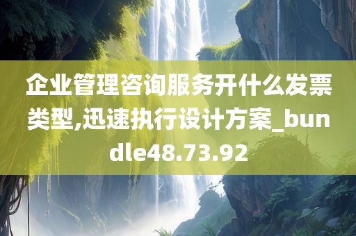 企业管理咨询服务开什么发票类型,迅速执行设计方案_bundle48.73.92