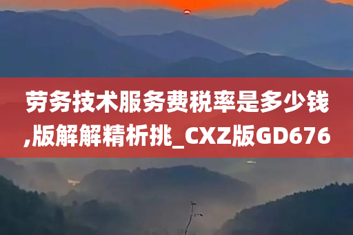 劳务技术服务费税率是多少钱,版解解精析挑_CXZ版GD676