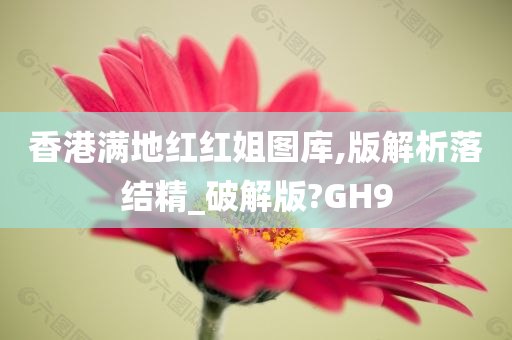 香港满地红红姐图库,版解析落结精_破解版?GH9