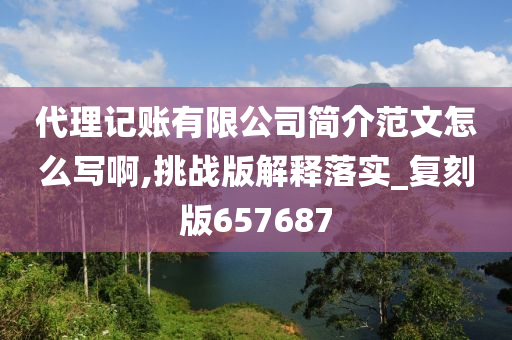 代理记账有限公司简介范文怎么写啊,挑战版解释落实_复刻版657687