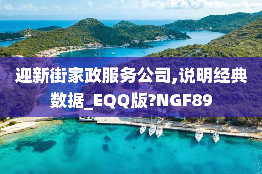 迎新街家政服务公司,说明经典数据_EQQ版?NGF89