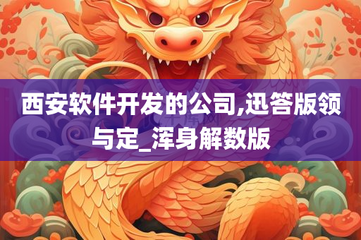 西安软件开发的公司,迅答版领与定_浑身解数版