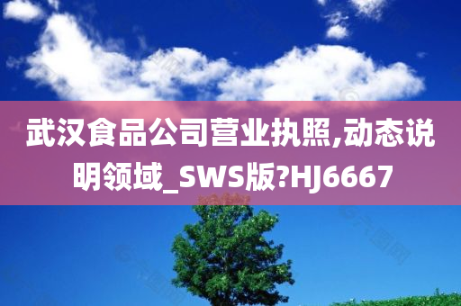 武汉食品公司营业执照,动态说明领域_SWS版?HJ6667