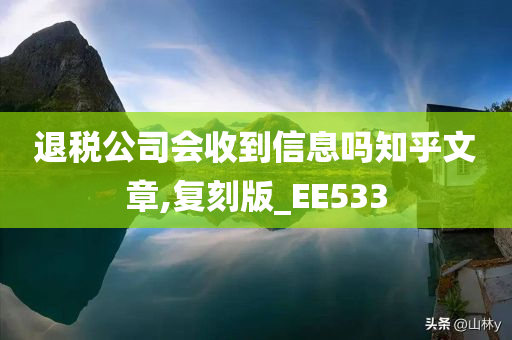 退税公司会收到信息吗知乎文章,复刻版_EE533