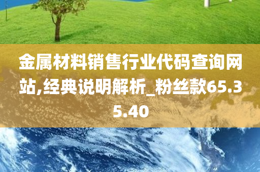 金属材料销售行业代码查询网站,经典说明解析_粉丝款65.35.40