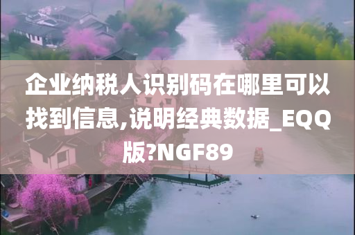 企业纳税人识别码在哪里可以找到信息,说明经典数据_EQQ版?NGF89