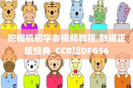 挖掘机初学者视频教程,数据正版经典_CCB版DFG56