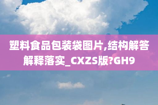 塑料食品包装袋图片,结构解答解释落实_CXZS版?GH9