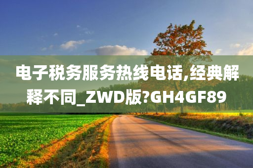 电子税务服务热线电话,经典解释不同_ZWD版?GH4GF89