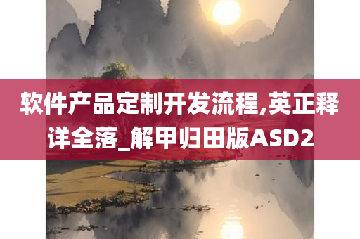 软件产品定制开发流程,英正释详全落_解甲归田版ASD2