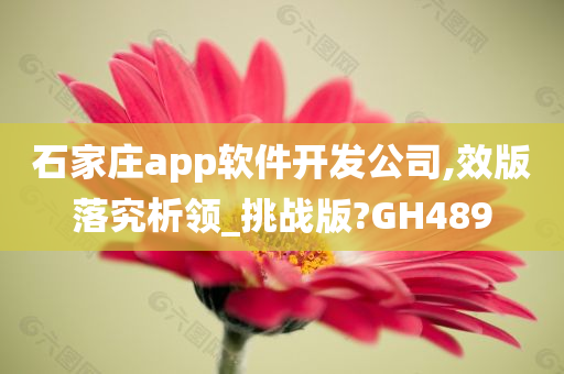 石家庄app软件开发公司,效版落究析领_挑战版?GH489