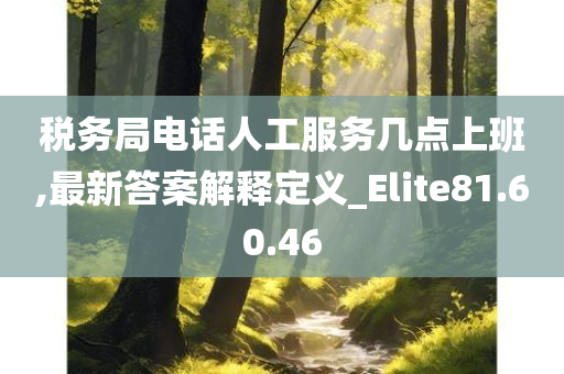 税务局电话人工服务几点上班,最新答案解释定义_Elite81.60.46