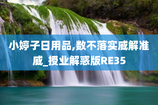 小婷子日用品,数不落实威解准威_授业解惑版RE35