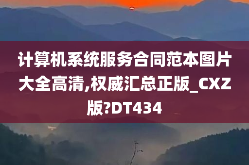 计算机系统服务合同范本图片大全高清,权威汇总正版_CXZ版?DT434