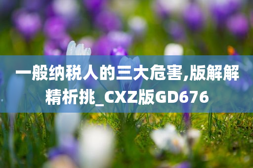 一般纳税人的三大危害,版解解精析挑_CXZ版GD676