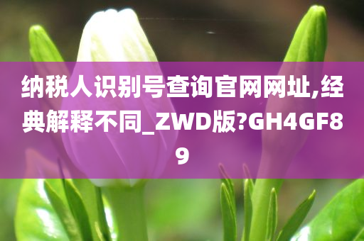 纳税人识别号查询官网网址,经典解释不同_ZWD版?GH4GF89