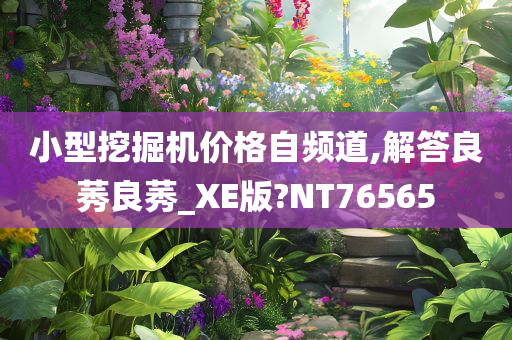 小型挖掘机价格自频道,解答良莠良莠_XE版?NT76565