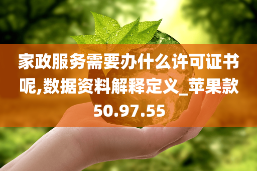 家政服务需要办什么许可证书呢,数据资料解释定义_苹果款50.97.55