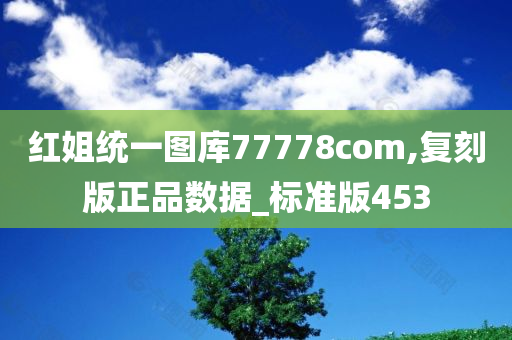 红姐统一图库77778com,复刻版正品数据_标准版453