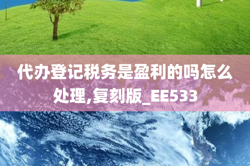 代办登记税务是盈利的吗怎么处理,复刻版_EE533