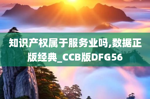 知识产权属于服务业吗,数据正版经典_CCB版DFG56