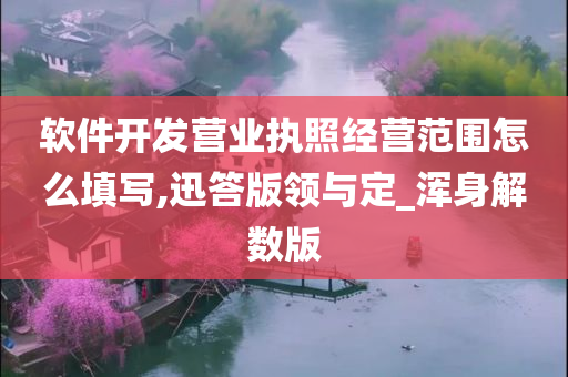 软件开发营业执照经营范围怎么填写,迅答版领与定_浑身解数版