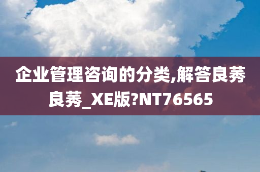 企业管理咨询的分类,解答良莠良莠_XE版?NT76565