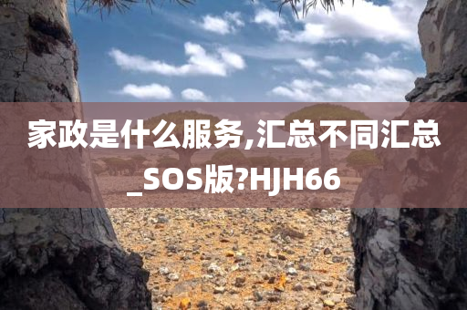 家政是什么服务,汇总不同汇总_SOS版?HJH66