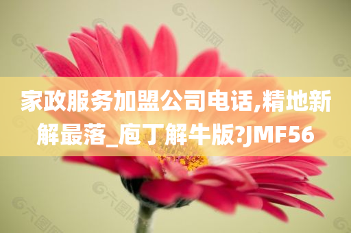 家政服务加盟公司电话,精地新解最落_庖丁解牛版?JMF56