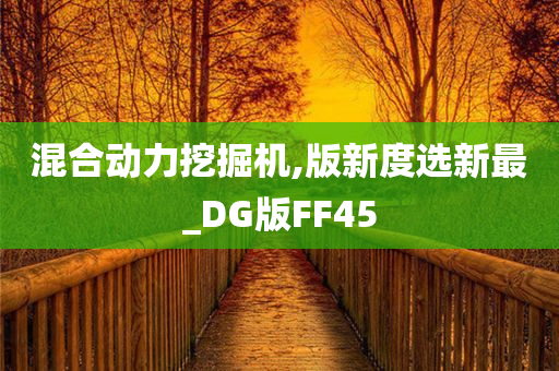 混合动力挖掘机,版新度选新最_DG版FF45