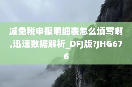 减免税申报明细表怎么填写啊,迅速数据解析_DFJ版?JHG676