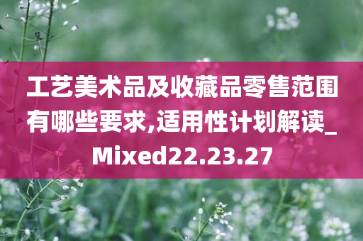 工艺美术品及收藏品零售范围有哪些要求,适用性计划解读_Mixed22.23.27