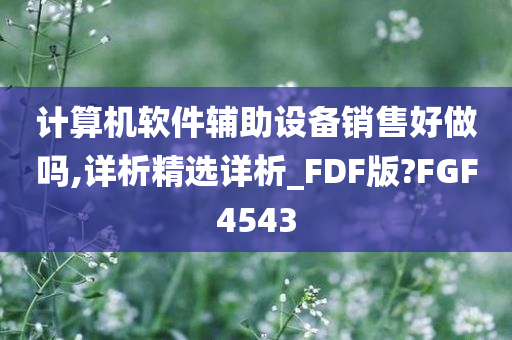 计算机软件辅助设备销售好做吗,详析精选详析_FDF版?FGF4543