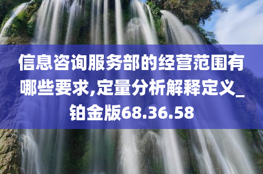 信息咨询服务部的经营范围有哪些要求,定量分析解释定义_铂金版68.36.58