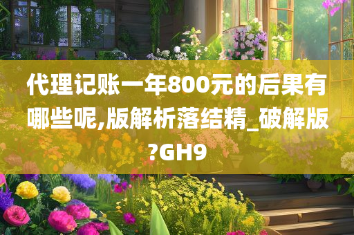 代理记账一年800元的后果有哪些呢,版解析落结精_破解版?GH9