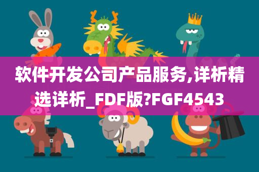 软件开发公司产品服务,详析精选详析_FDF版?FGF4543