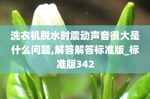 洗衣机脱水时震动声音很大是什么问题,解答解答标准版_标准版342