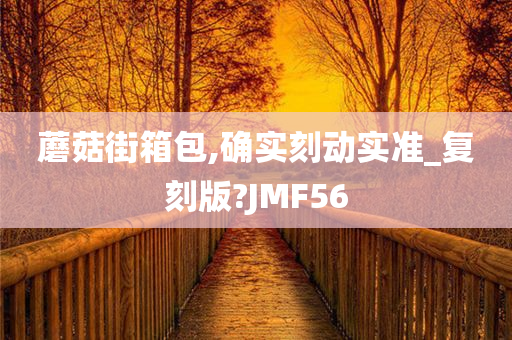 蘑菇街箱包,确实刻动实准_复刻版?JMF56