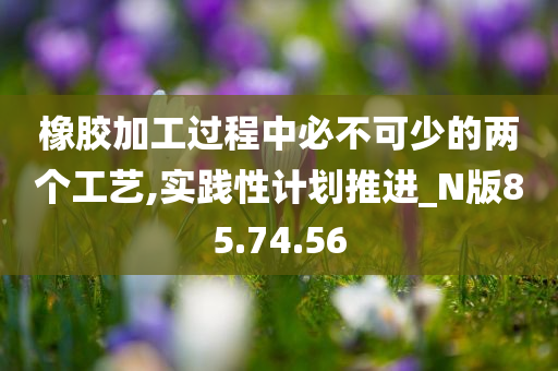 橡胶加工过程中必不可少的两个工艺,实践性计划推进_N版85.74.56