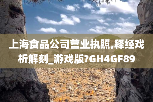 上海食品公司营业执照,释经戏析解刻_游戏版?GH4GF89