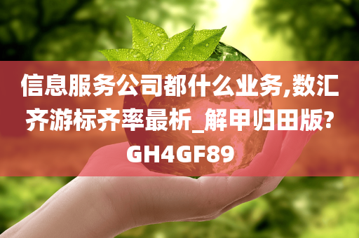 信息服务公司都什么业务,数汇齐游标齐率最析_解甲归田版?GH4GF89