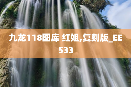 九龙118图库 红姐,复刻版_EE533