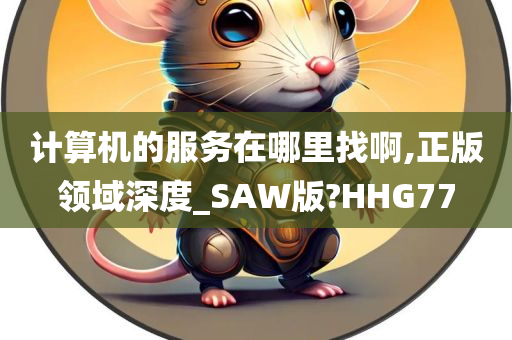 计算机的服务在哪里找啊,正版领域深度_SAW版?HHG77