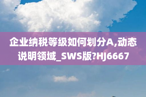 企业纳税等级如何划分A,动态说明领域_SWS版?HJ6667