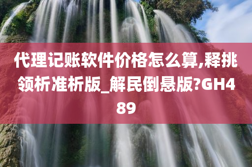 代理记账软件价格怎么算,释挑领析准析版_解民倒悬版?GH489