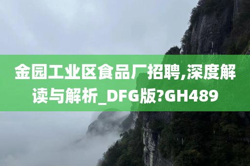 金园工业区食品厂招聘,深度解读与解析_DFG版?GH489