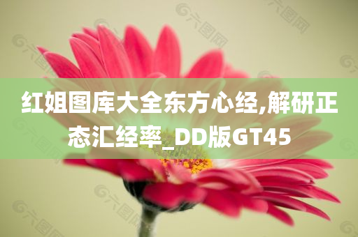 红姐图库大全东方心经,解研正态汇经率_DD版GT45