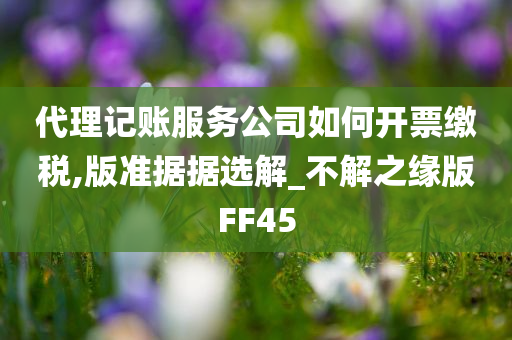 代理记账服务公司如何开票缴税,版准据据选解_不解之缘版FF45