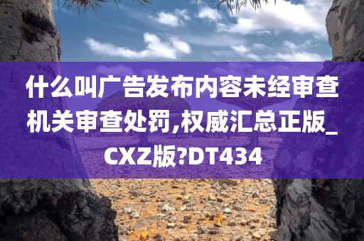 什么叫广告发布内容未经审查机关审查处罚,权威汇总正版_CXZ版?DT434